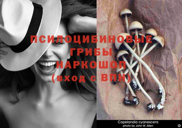 марихуана Михайловск