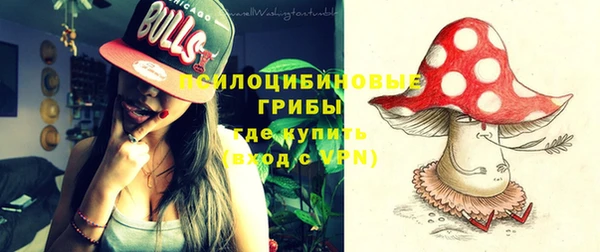 тгк Михайлов