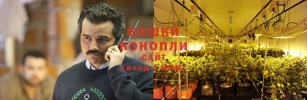 тгк Михайлов